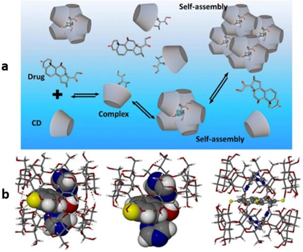 a) Formation of Cyclodextrin inclusion complex and self-assembly mechanisms. b) Representations of the host-guest interactions and packing arrangements for Cyclodextrin. Courtesy of Cyclodextrins as multifunctional platforms in drug delivery and beyond: Structural features, functional applications, and future trends. 