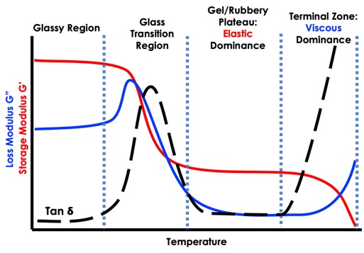 DMA helps determine how stiffness and damping change with temperature by tracking storage modulus (G′) and loss modulus (G″), including the transition region that can affect contact stress retention. Courtesy of Centre for Industrial Rheology.