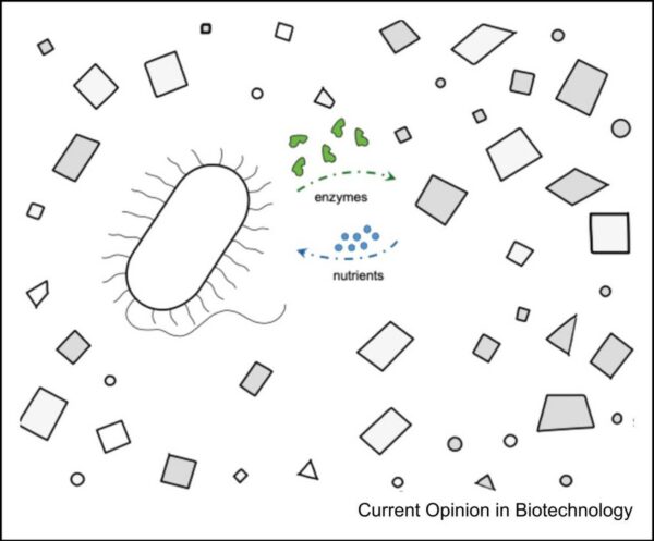 Advanced bio-based plastic waste management systems offer increased remediation potential but require further refinement. Figure courtesy of Engineering whole-cell catalysts to use plastic waste as a feedstock.