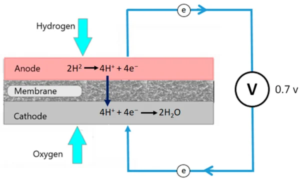 Schematic diagram of PEM fuel cell. Courtesy of Optimization of Filler Compositions of Electrically Conductive Polypropylene Composites for the Manufacturing of Bipolar Plates.