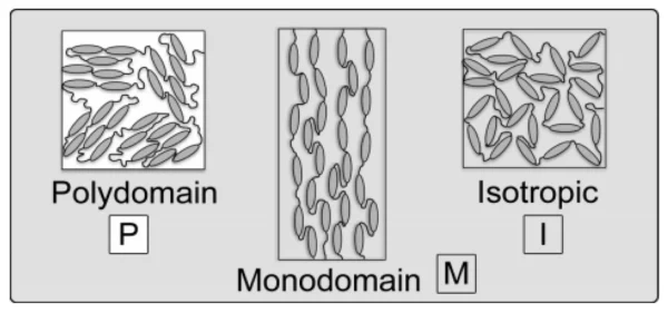 Schematic of distinct phases of LCE. Courtesy of Wearable Actuators: An Overview.