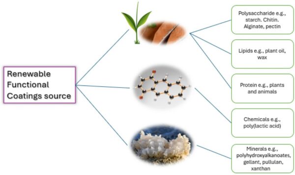 Renewable sources for functional coatings include bio-, mineral-, and chemical-based materials. Figure courtesy of  Advancing renewable functional coatings: sustainable solutions for modern material challenges.