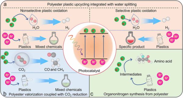 Photocatalysis has applications in polyester upcycling integrated with water splitting, valorization, and CO2 reduction, as well as in organonitrogen synthesis. Figure courtesy of Beyond mechanical recycling: artificial photosynthesis enables upcycling of polyester plastic into valuable chemicals.