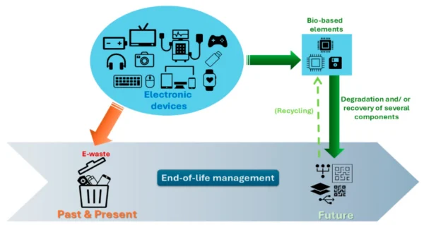 Biobased polymers can reduce reliance on petrochemical resources and, through recycling, lessens electronic waste. Figure courtesy of Biobased Polymers in Printed Electronics: From Renewable Resources to Functional Devices.