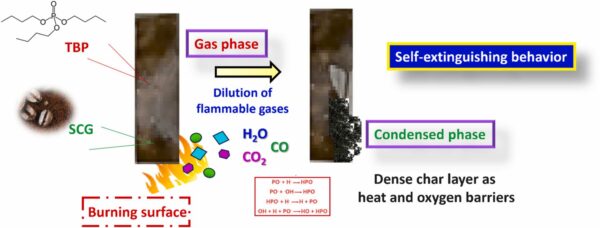 TBP and SCG both contribute to the flame inhibition properties of the PLA biocomposite film. Figure courtesy of Upcycling spent coffee grounds as a sustainable additive for superior impact-resistant and flame-retardant polylactide biocomposite films.