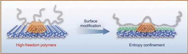 Researchers constructed a catalyst with optimized surface polarity to improve yields of gasoline and diesel components through polyolefin hydrolysis. Figure courtesy of Entropy Engineering for the Efficient Hydrogenolysis of Waste Polyolefins.