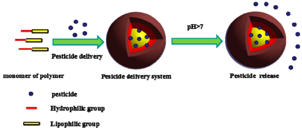 Diagram illustrating the response mechanism of pH-sensitive polymers (pH in controlled-release pesticides under alkaline conditions in alkaline intestinal insects [Lepidoptera]). Courtesy of Advances in Targeted Pesticides with Environmentally Responsive Controlled Release by Nanotechnology.