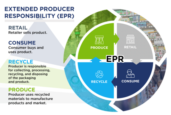 The EPR cycle places end-of-life responsibility squarely on producers. Fees, recyclability grades, and compliance costs now flow back through every stage of the packaging value chain. Courtesy of: Paramount Global.