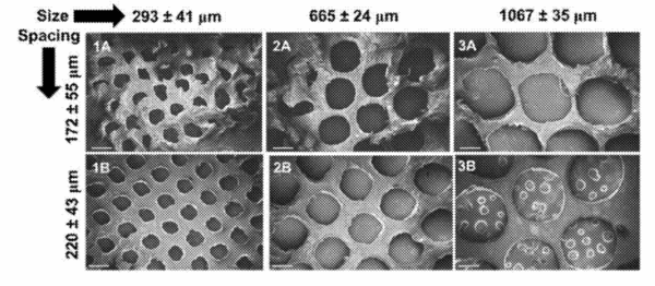 SEM micrographs of various porous scaffold designs. Courtesy of VenoStent Patent Application US17/709,095.