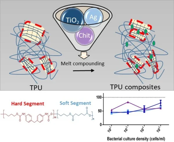 Engineers melt compound functional fillers directly into the polymer matrix to actively suppress bacterial colonization on commercial medical devices. Courtesy from Polyurethane-Based Composites: Effects of Antibacterial Fillers on the Physical-Mechanical Behavior of Thermoplastic Polyurethanes.