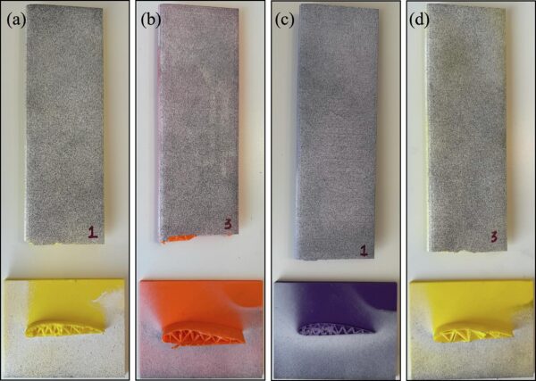 Researchers fabricated the lattice (a and b) and foam (c and d) wings for experimental testing. Figure courtesy of Optimization, additive manufacturing, and testing of bird-bone-inspired materials for aircraft wing designs.