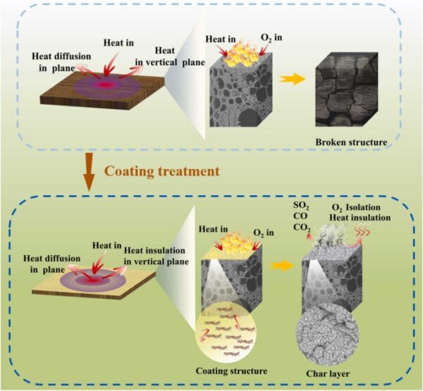 The composite coating, referred to as FPX, is comprised of PolyX (X = 1, 2, 3) and FC. Figure courtesy of Synergistically engineered multifunctional composite coating for recombined bamboo with optimized flame retardancy, water resistance and thermal insulation performance.
