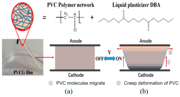 Deformation principle of the PVC-gel actuator. (a) Discharge (b) Charge. Courtesy of Direct Writing Corrugated PVC Gel Artificial Muscle via Multi-Material Printing Processes.