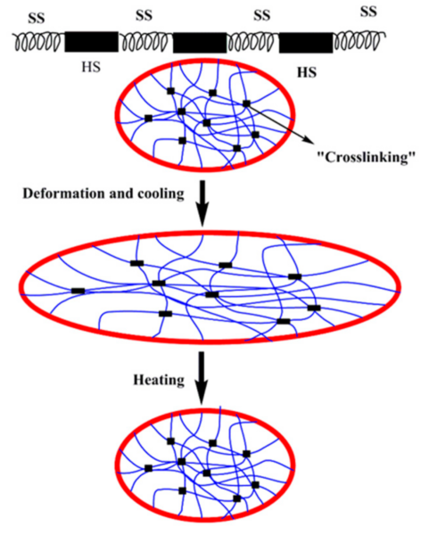 The micro-mechanism of the shape-memory effect of polymers, where HS refers to the hard segment, while SS refers to soft segments. Courtesy of Shape-Memory Polymeric Artificial Muscles: Mechanisms, Applications and Challenges.