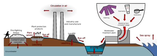 PFAS sources and transport. Courtesy of UK Parliament Post.