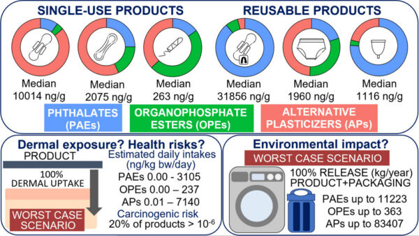 Graphic representation of detected concentrations of PAEs, OPEs, and APs in single-use products like pads, liners, and tampons (left) and reusable pads, menstrual underwear, and menstrual cups (right). The ng/g value listed is the total estimated daily intake of additives through dermal contact with the corresponding product. Courtesy of Plastic Additives in Single-Use and Reusable Menstrual Products: Potential Implications for Human Health and the Environment.