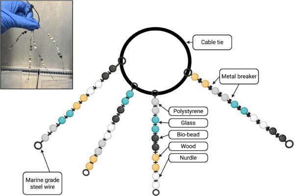 Schematic diagram of incubation structure alongside image of finalised structure (top left). Created in BioRender. Courtesy of Stevenson, E. (2025)