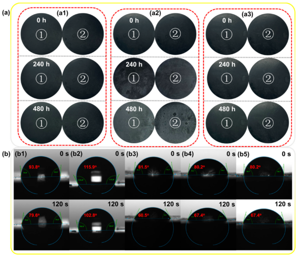 SiR@FR composites (a3) showed no visible exudation throughout the 480-hour aging period. Figure courtesy of A Core–Shell Elastic Flame Retardant with Superior Migration Resistance for Fire-Safe and Toughened Polyamide 66.