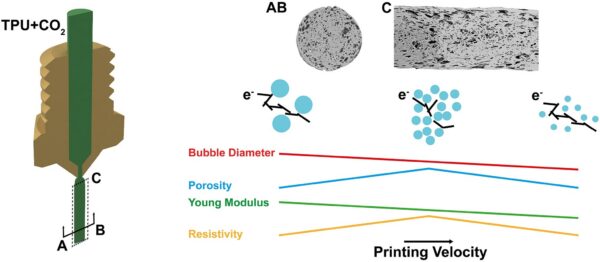Printing paths and parameters impact the properties of conductive foams. Courtesy of Morphology-dependent electrical response of CO2-foamed conductive TPU filaments fabricated by foam additive manufacturing.