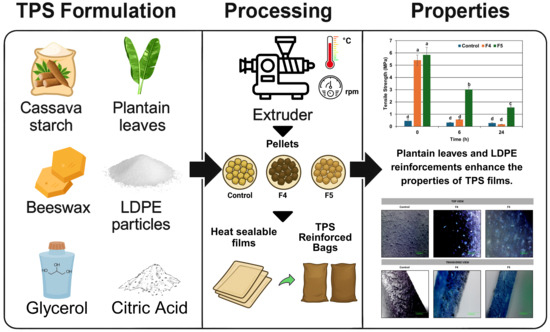 Thermoplastic starch (TPS) can be a viable alternative to traditional plastics, given its high biodegradation rate under ambient conditions. Courtesy of Development and Characterization of Reinforced Flexible Packaging Based on Amazonian Cassava Starch Through Flat Sheet Extrusion.