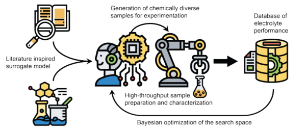 A model generates batch suggestions that are evaluated experimentally, with results used to update and improve future predictions.Courtesy of: Autonomous Discovery of Polymer Electrolyte Formulations with Warm-start Batch Bayesian Optimization.