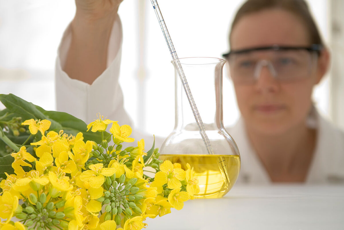 Bio-based plasticizers derived from vegetable oils and agricultural feedstocks are at the forefront of the sustainability transition in polymer additives. Their commercial availability has grown, but their market share has not kept pace.