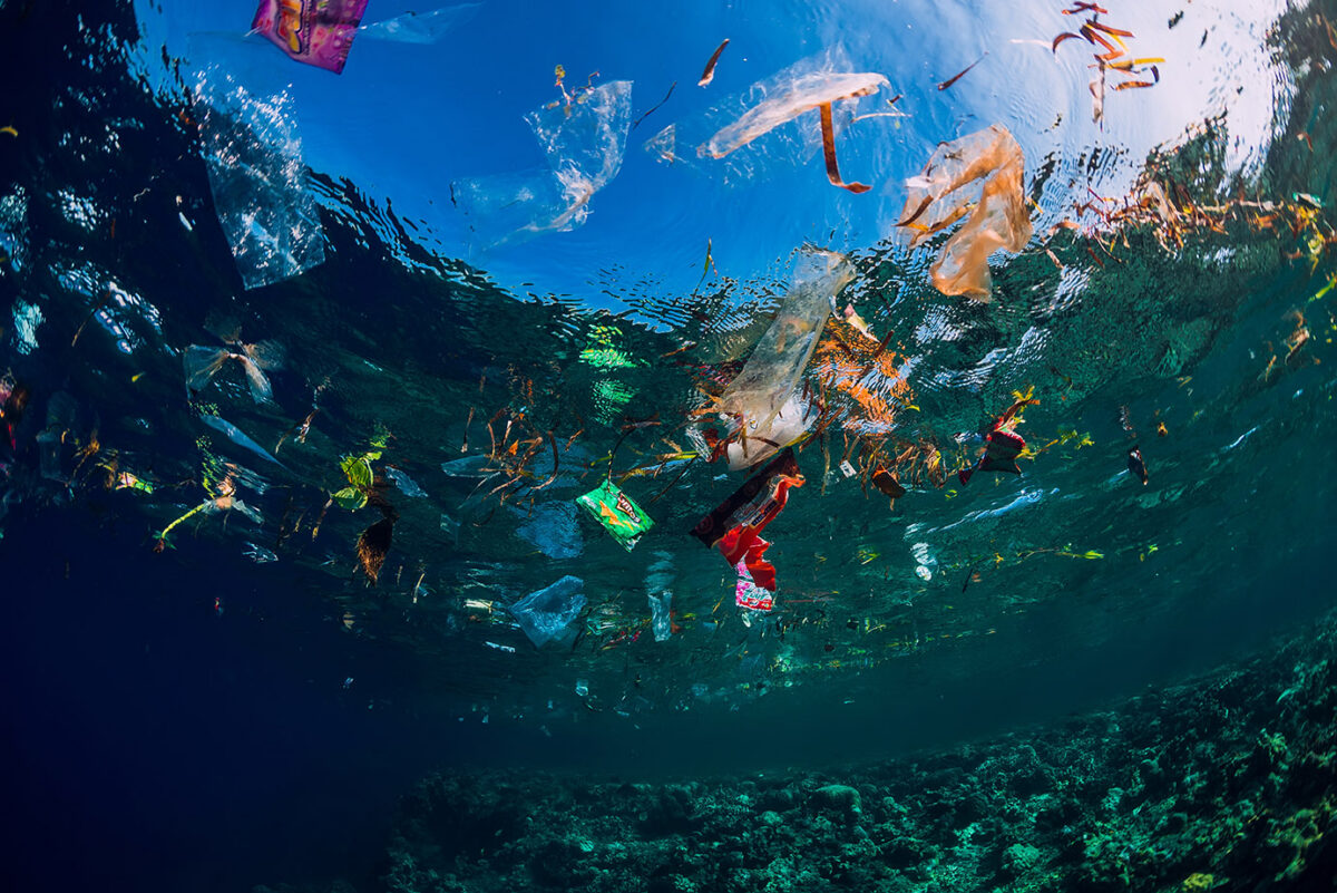 Understanding how plastics biodegrade under different aquatic temperatures is critical to assessing their environmental fate. Apoorva Kulkarni’s doctoral research helped shape ASTM D8646-26, which addresses this behavior.